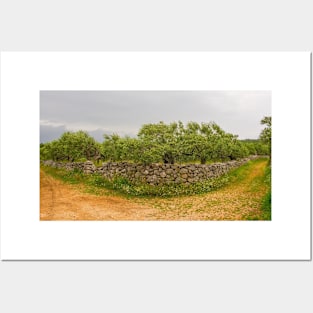 Landscape Near Loziscz, Brac Island, Croatia Posters and Art